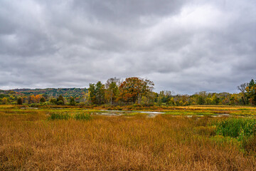 Fototapeta premium Autumn Landscape with Trees and Clouds