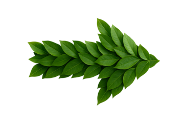 Green arrow made of leaves isolated on black background eco concept sustainability direction symbol for environmental awareness nature growth ecology conservation freshness