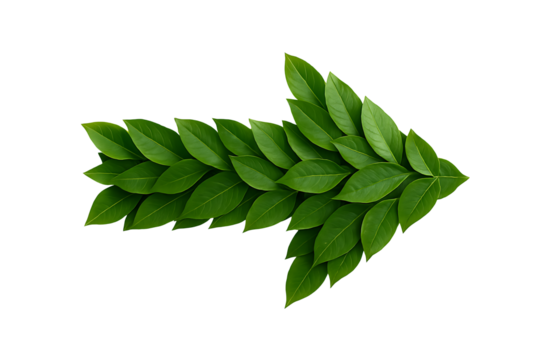 Green arrow made of leaves isolated on black background eco concept sustainability direction symbol for environmental awareness nature growth ecology conservation freshness