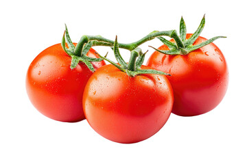 Three ripe tomatoes still on the vine, isolated