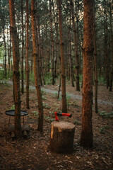 A striking vertical shot of a tall pine forest with an ax stuck in a weathered wooden stump in the foreground, ready for chopping firewood at a campsite.
