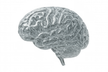 Human brain made of liquid metal representing intelligence, artificial intelligence, and sophisticated thought processes