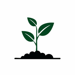 Green plant growing in soil isolated on white background for various uses