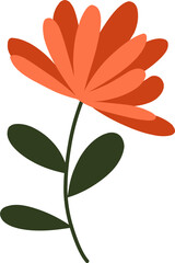 orange flower 