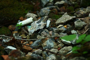 Discarded Cigarette Butt Lying on Gravel and Debris on the Ground

