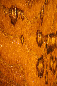 texturas de madera, madera, nudos en la madera, textura, madera, barniz, madera, con textura, roble, viejo, &aacute;rbol, naturaleza, material, tabl&oacute;n, textura, recubrir, macro
