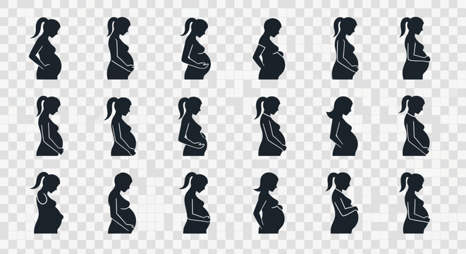 Silhouetted representations of a pregnant woman's body throughout the stages of gestation.