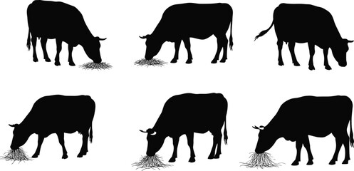 Cow silhouettes eating hay, black cattle vector illustration, farm animal design, livestock feeding clipart, agriculture concept, dairy cow art graphic