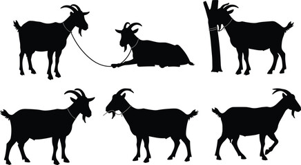 Black goat silhouettes standing, lying, tethered with rope, farm livestock illustration, animal husbandry concept, rural agriculture, domestic animals vector art