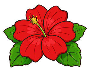 red hibiscus flower