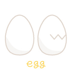 卵のベクターイラスト。