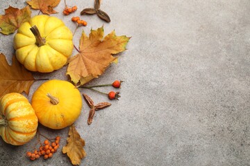 Dry autumn leaves, pumpkins and berries on grey table, flat lay. Space for text