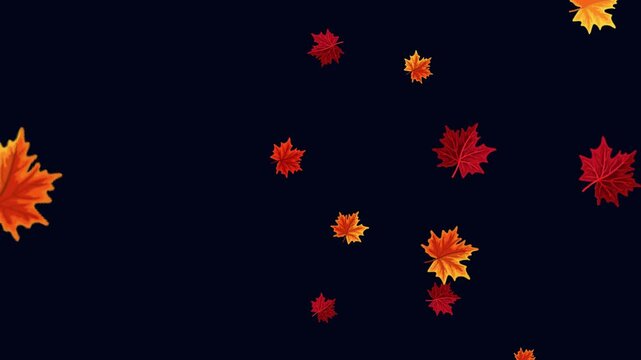 Autumn maple leaves smoothly floating sideways on a dark background
