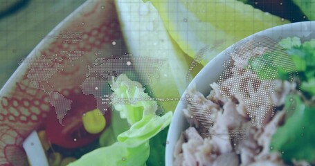 White bowl with flaked tuna, lettuce sitting in layout, with dotted world map, code-text overlay