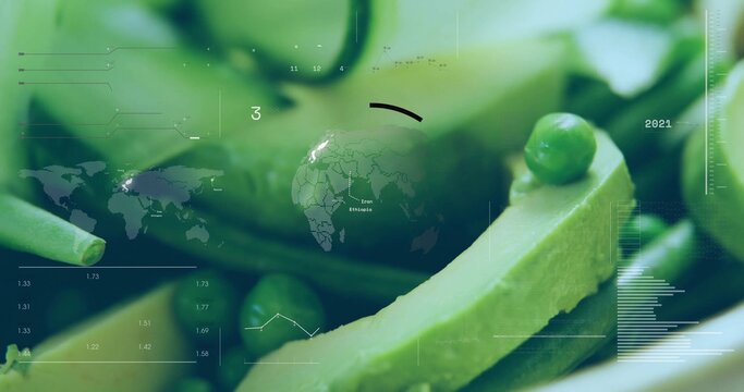 Displaying central pale green vegetable slice balancing bright green pea in stylized data dashboard