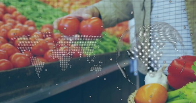 Picking shopper wearing jacket holding red tomatoes at counter with digital map overlay, copy space