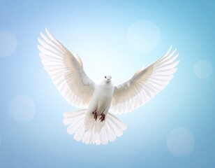 Obraz premium White dove in flight, wings spread, bright, soft background