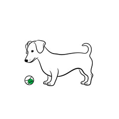 A charming jack russell terrier stands playfully beside a ball, ready for a game of fetch, isolated on white background a delightful canine scene