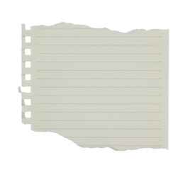 Obraz premium red lined blank paper note torn on transparent background. for design and text