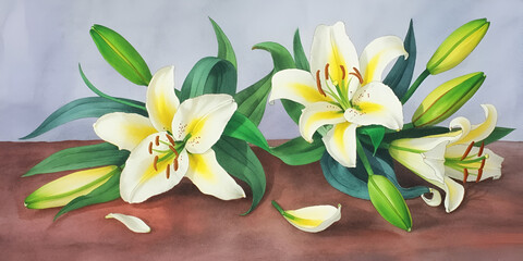 Beautiful illustration of white and yellow lilies with green leaves