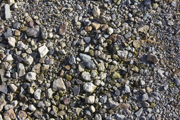 It is a rocky ground.