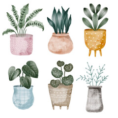 Boho Watercolor Potted Plants Isolated Elements Set