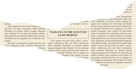 Naklejka premium A torn magazine on a transparent background.