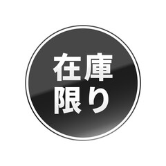 光沢のあるアイコン_在庫限り_線囲み丸型_BLACK