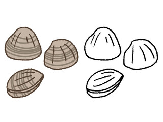 手描きのアサリ