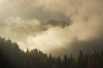 Foggy morning in Italian mountains - silhouettes on Alpine forest