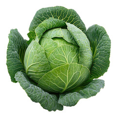 Fresh, ruffled green cabbage head, leafy layers visible