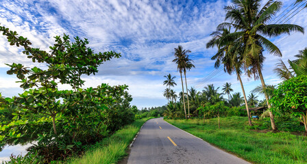 Road with palm trees on either side and a clear blue sky