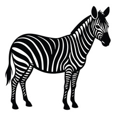 Fototapeta premium Majestic zebra standing profile view iconic black and white stripes wildlife animal vector