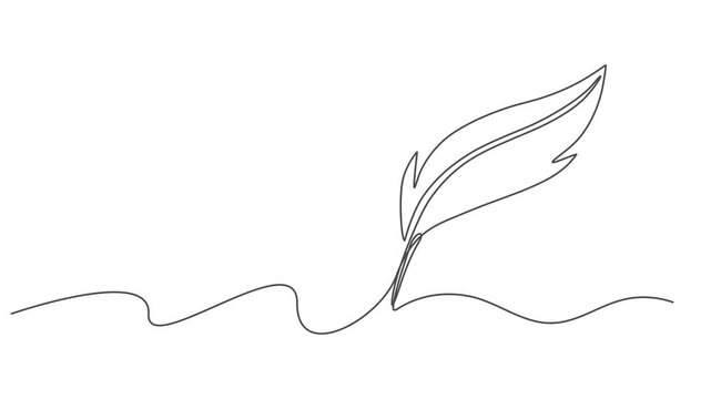 birds feather continuous one line drawing animation, Continuous Line Drawing of Feather Icon. Hand Drawn Symbol Vector Illustration, Hand drawn quill, Self-drawing of continuous drawing of one line