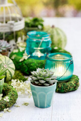 Moden table decoration for the party with succulent plants, green pumpkins, moss wreaths and candle holders.
