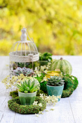 Moden table decoration for the party with succulent plants, green pumpkins, moss wreaths and candle holders.