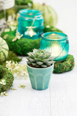 Moden table decoration for the party with succulent plants, green pumpkins, moss wreaths and candle holders.
