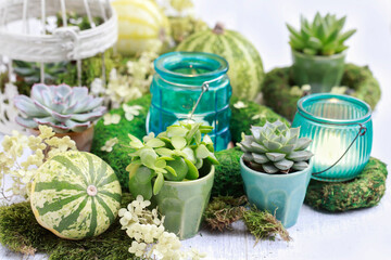 Moden table decoration for the party with succulent plants, green pumpkins, moss wreaths and candle holders.