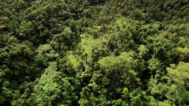 Aerial View, Landscape of Tropical Island, Rainforest and Green Volcanic Hills, Drone Shot