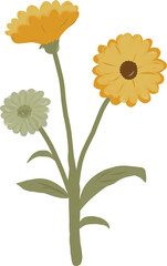 Flower Illustration Vector Art