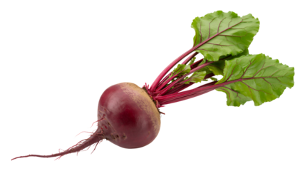 Jolly Santa Claus peeking over red banner with Christmas cheer