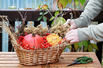 Florist at work: woman shows how to make seasonal autumn table decoration with pumpkins, flowers and plants in a wicker basket.