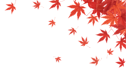 Whimsical Christmas collection with gnome, reindeer, trees, and houses