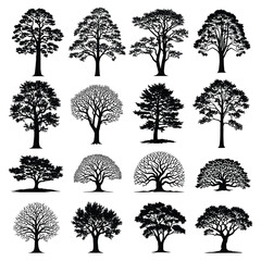 Obraz premium A collection of diverse tree illustrations showcasing various shapes and leaf patterns for design elements.