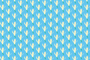 Pattern of chempaka flower with on blue background.