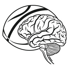 Stylized black and white illustration of a human brain with a striped oval shape behind it representing thought or creativity human brain vector illustration