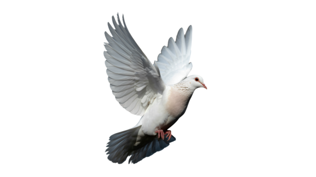 Festive Christmas balls wearing Santa hats, ready for holiday cheer