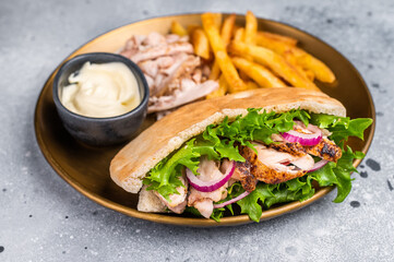 Grilled shawarma sandwich, Doner kebab with grilled meat in pita bread on a plate with french fry. grey background. top view