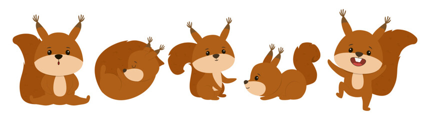 vector illustration of adorable squirrels displaying different emotions and activities, including playing, resting, and interacting. Ideal for nature and animal themes. © Elena
