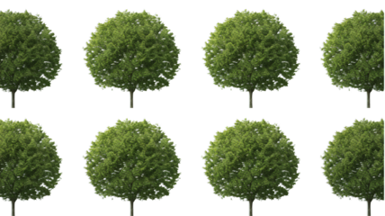 Seamless row of lush green trees for environmental backgrounds